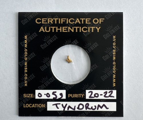 Scottish gold nugget 05g - scottish,