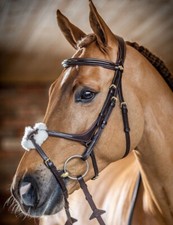 LeMieux Kudos Grackle Bridle