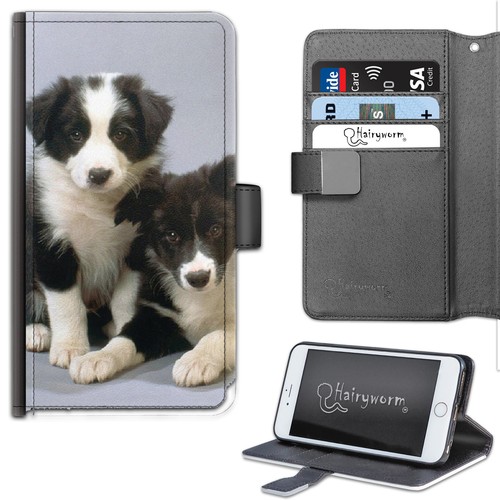 Border collie puppy - border,
