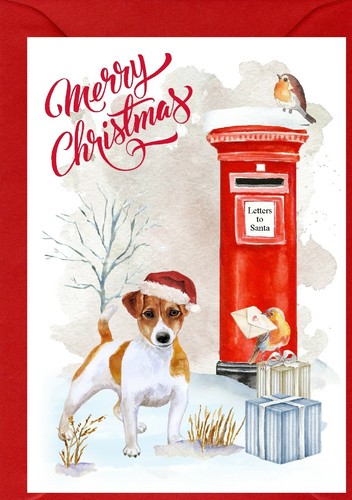 Jack russell terrier dog - jack,