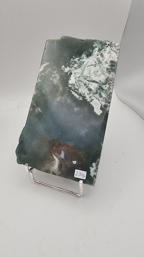 Large beautiful moss - beautiful,