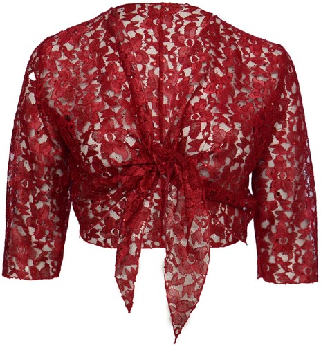 Sparkly shrug sheer - sparkly,