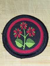 Girlguiding girl guides - uk,