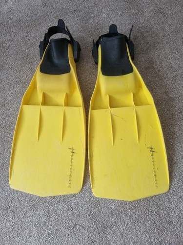 Typhoon hurricane snorkeling - hurricane,
