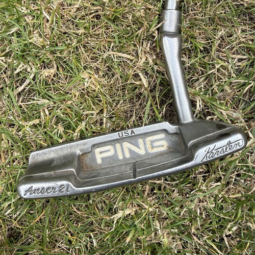 Ping anser karsten - anser, 2