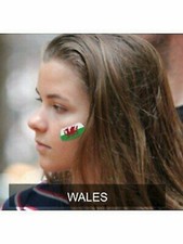 Welsh Wales Dragon Flag