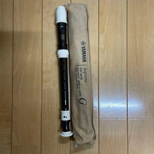 Yamahsoprarecorder case - yamahsoprarecorder,