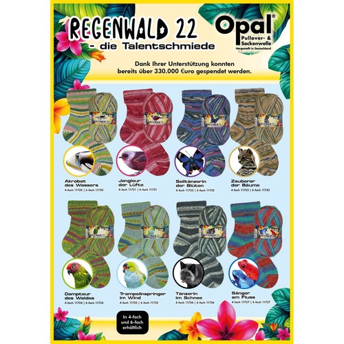 Opal rainforest 4ply - opal,