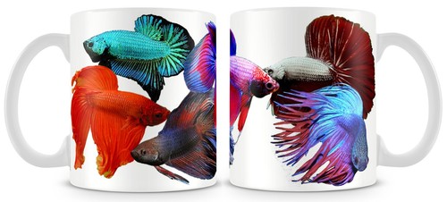 Betta fish mug fighter - betta,