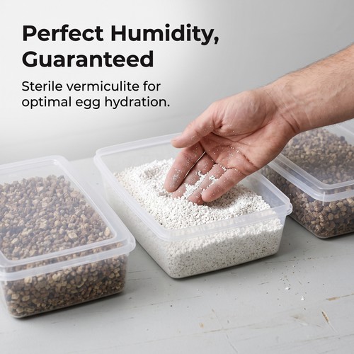 Plastic reptile egg - plastic,