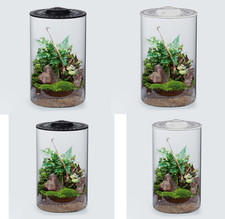 Cylinder Terrarium Glass Bio