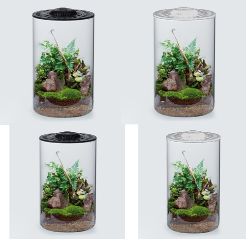 Cylinder terrarium glass - cylinder,