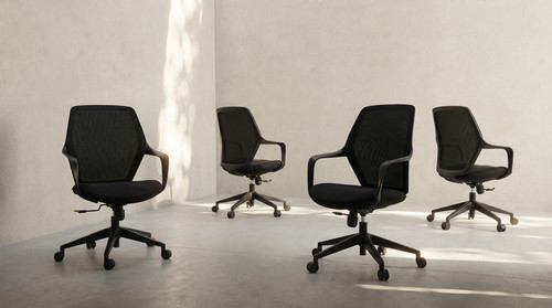 Office chair ergonomic - chair, swivel
