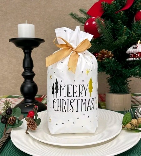 Christmas gift bag - 25,