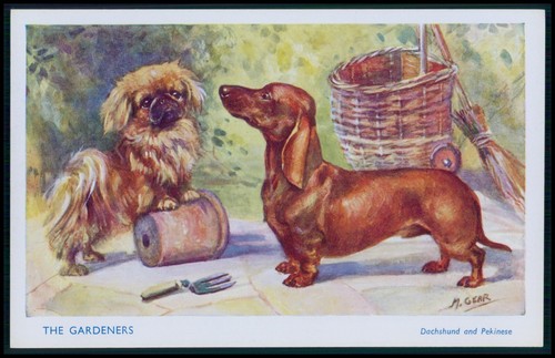 Art mabel gear - mabel, dachshund