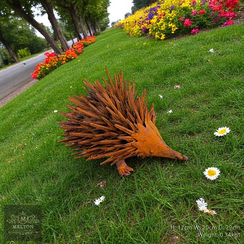 Spiky hedgehog garden - garden, ornament
