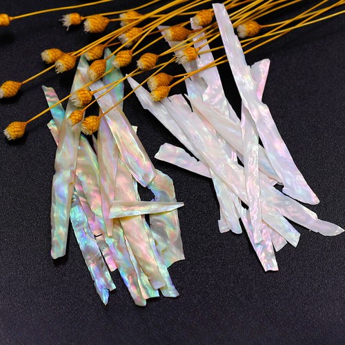 Abalone shell slices - 3g, long