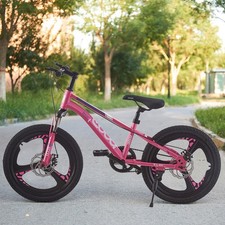 20 inch Wheel Kids Bike Pink