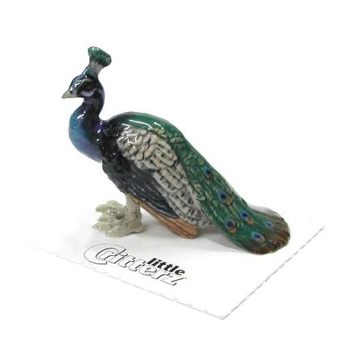 Little critterz peacock - critterz,