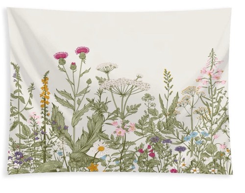 Botanical wild flower - flower, floral
