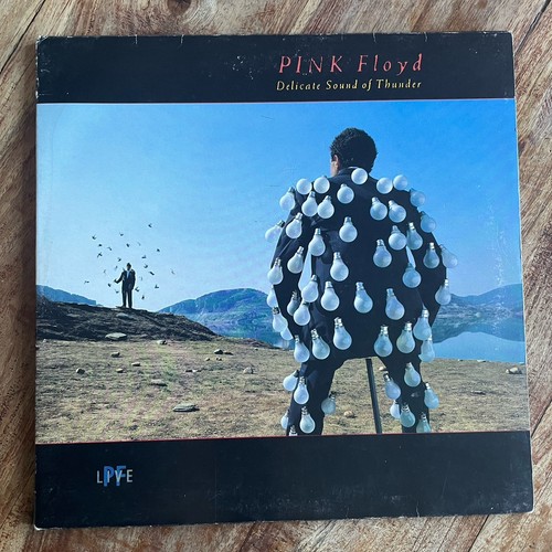 Pink floyd delicate - -, of
