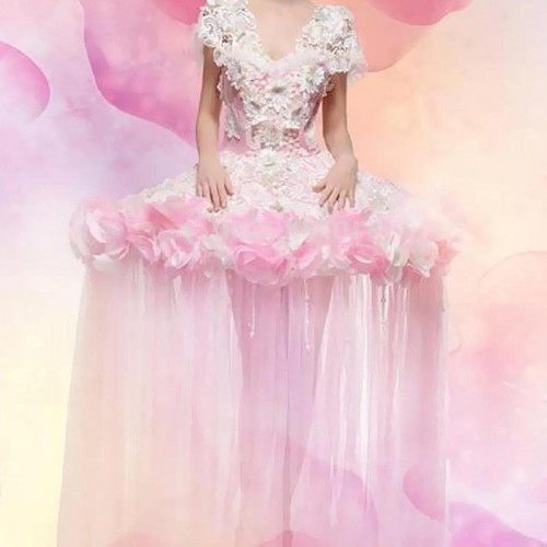 Crinoline pannier petticoat - pannier,
