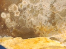 Large Knapping Flint With