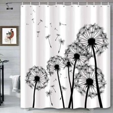 Black and White Dandelion