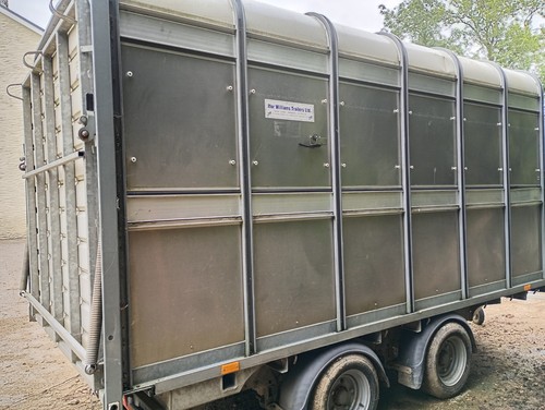 Ivor williams galv trailer - 14',