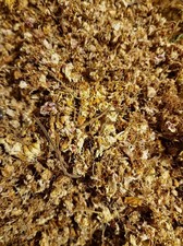 Horse Chestnut flower tea