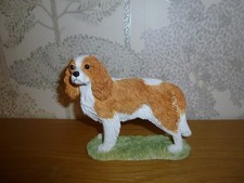 Border Fine Arts The Dog