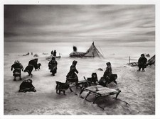Postcard Sebastiao Salgado "Siberia, Russia" 2011 (Reindeer Sleigh) MNT Oversize
