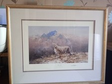 David Shepherd Ltd Edition