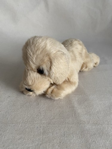 Aurora nature babies dog - nature, soft