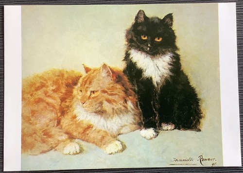 Cats ron - &, by