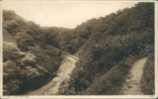 Filey the ravine - ;, photochrom