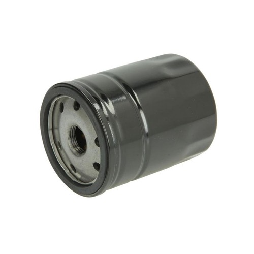 Oil filter fits - 1x, austin