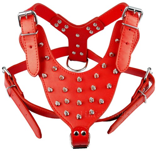 Spiked studded leather - studded,