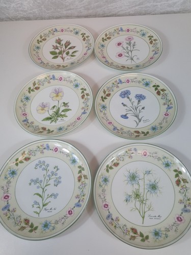 Aynsley flowers from the - flowers,