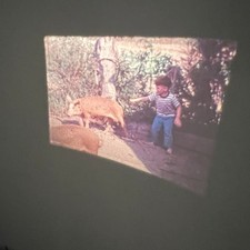 Super 8 Home Movie 1970s