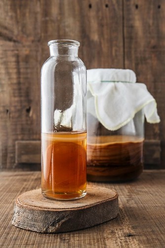 Mature organic kombucha scoby - kombucha,