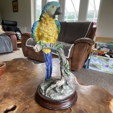 Large Macaw Figurine Home Decor Parrot Tropical Bird  33cm Tall