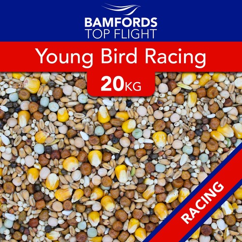 Bamfords young bird racing - bird,
