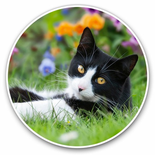 Vinyl stickers 15cm - stickers,