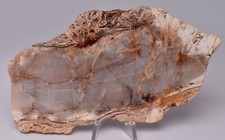 MICROBIAL MAT, Dresser Fmt