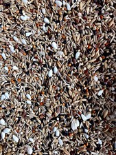 Bullfinch seed mix,Premium
