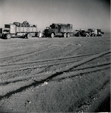 SAHARA c. 1950 - Desert