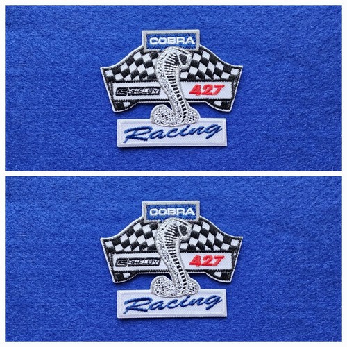 Pair motor car racing - pair,