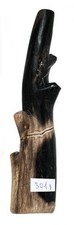 Fossil Wood Petrified wood