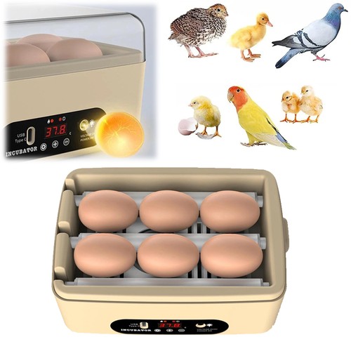 Egg incubator for - incubator, hatching